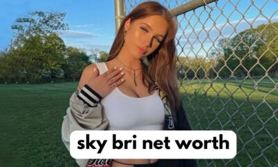 sky bri net worth