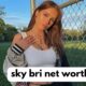 sky bri net worth