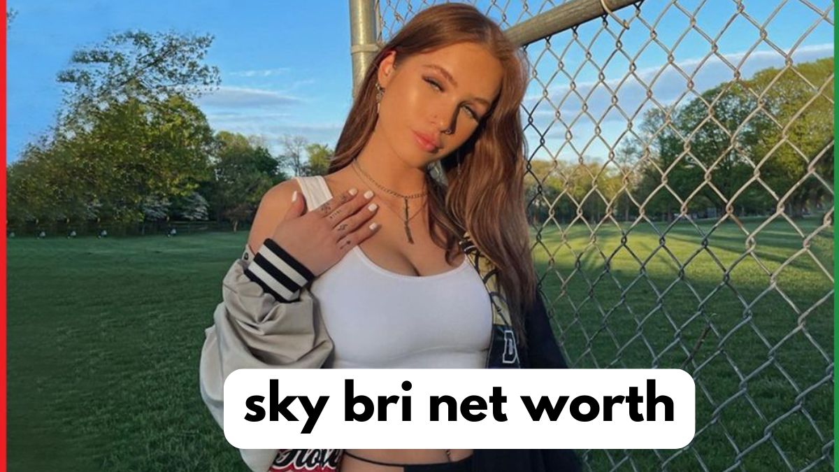 sky bri net worth