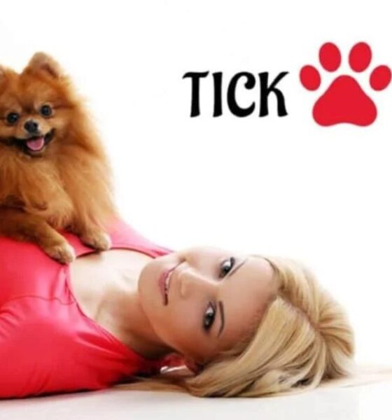 TickZoo