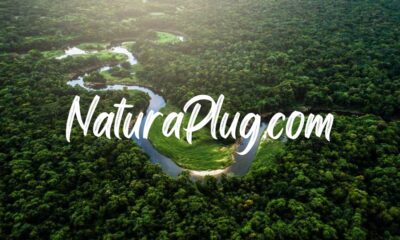 naturaplug.com